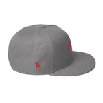 Drippin Snapback Hat