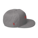 Drippin Snapback Hat