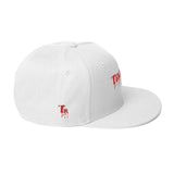 Drippin Snapback Hat