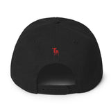 Drippin Snapback Hat